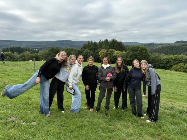 2610d1e0 2466 47af 9b6c 2b7ea2712703