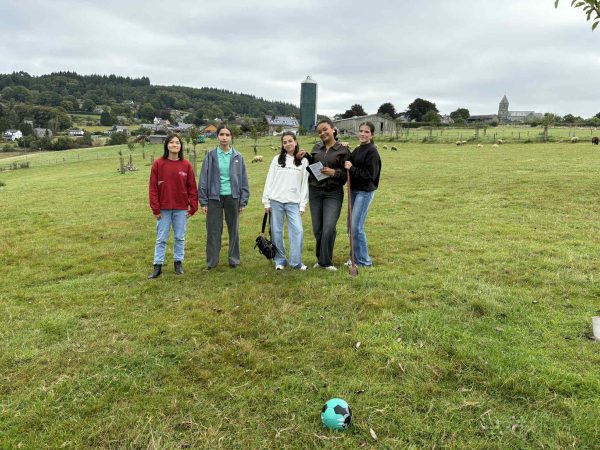 30966505 6717 4df5 B29e 74e200c8afed